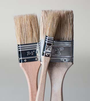 Pure bristle disposable brushes for paint, varnish and epoxy